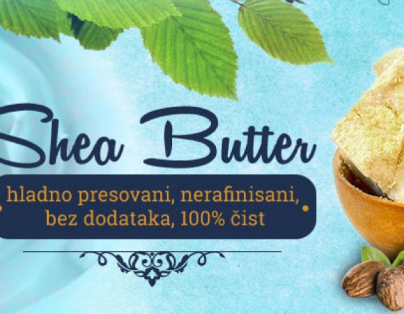 1642155495-shea-puter