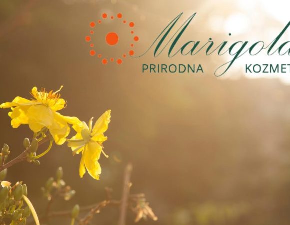 promocija u maju