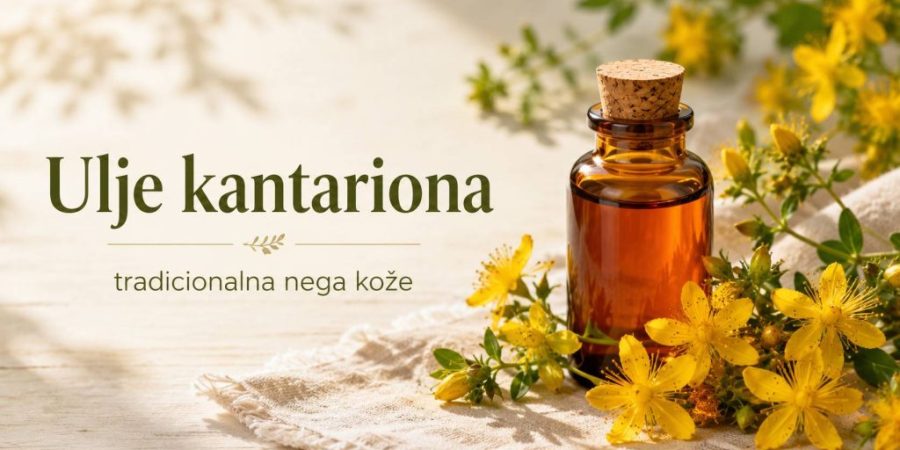 Ulje kantariona – tradicionalna nega kože iz žutog cveta Ulje kantariona – tradicionalna nega kože iz žutog cveta